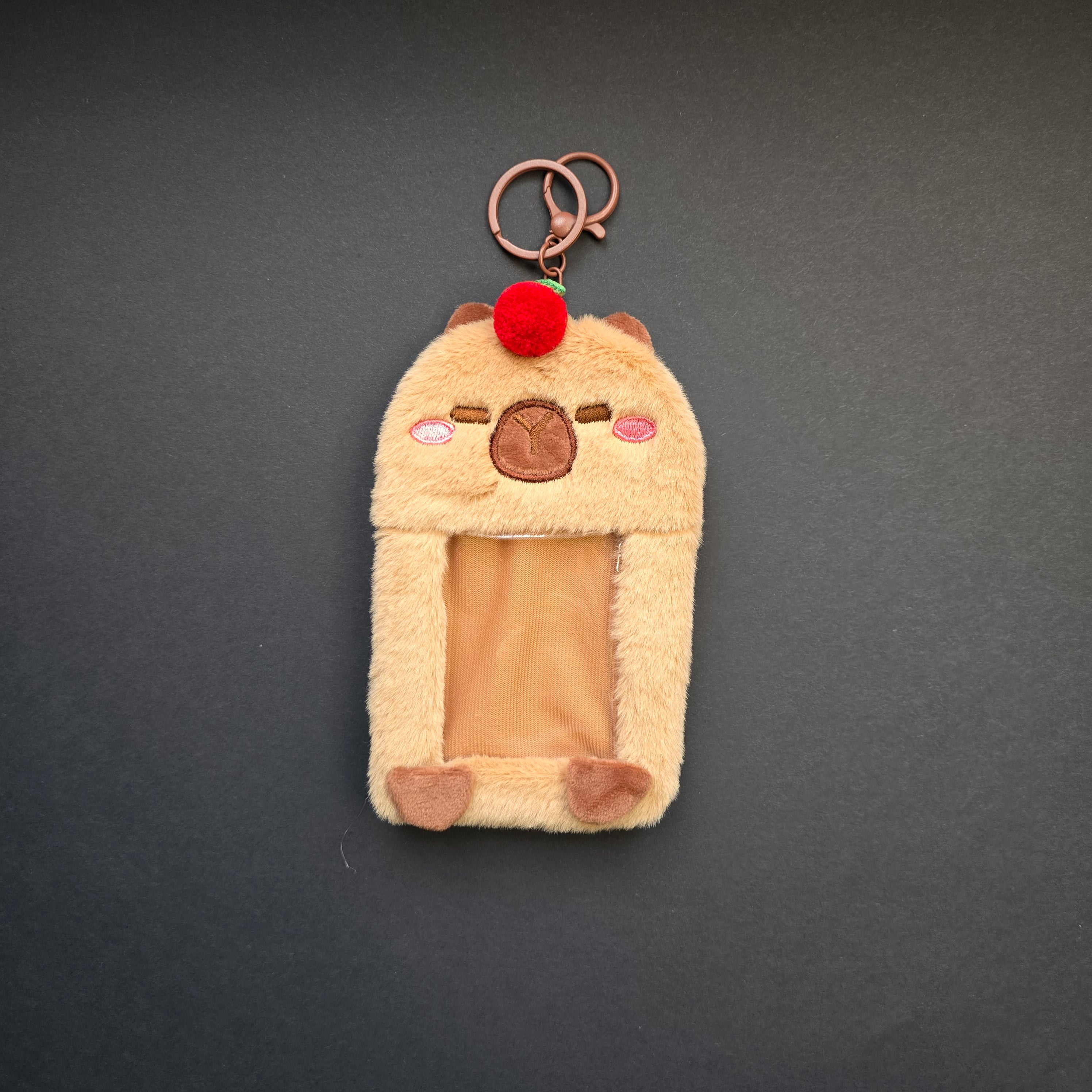 Photocardholder capybara