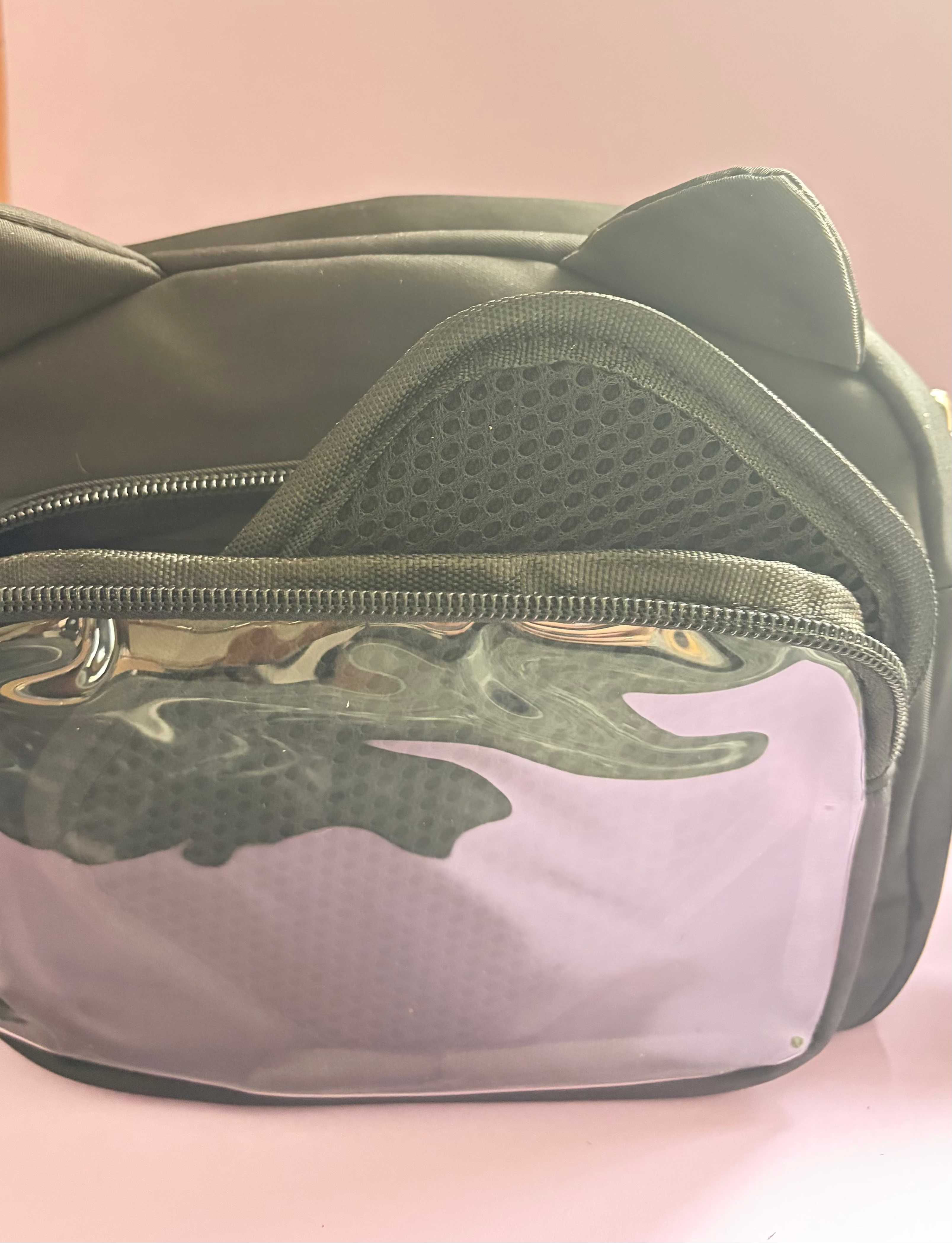 Ita bag cat